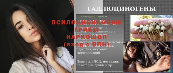 винт Абаза
